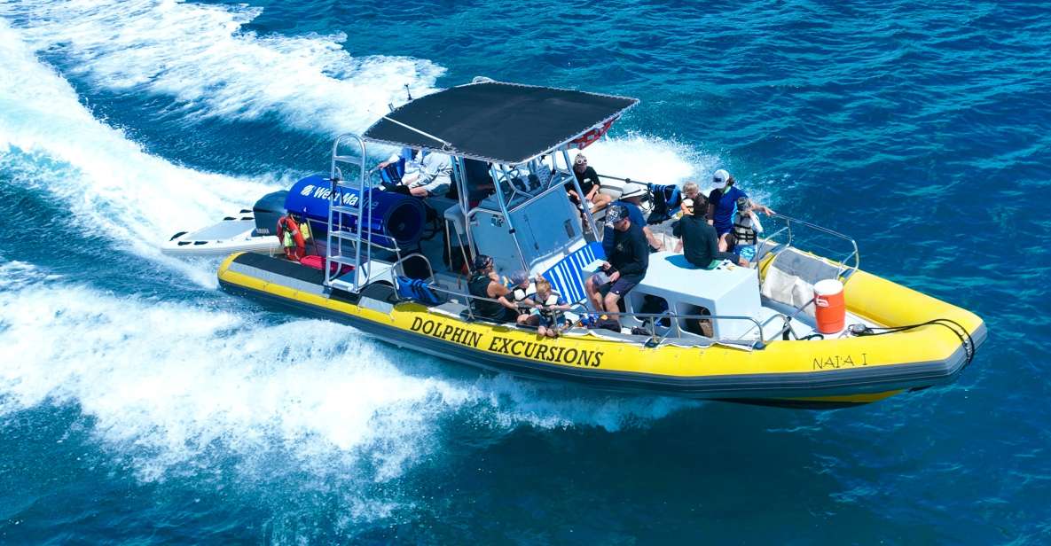 Oahu: Dolphin Swim and Turtle Snorkel Excursion in Waianae - Pickup from Waikiki and Ko Olina: why timing feels like the whole game