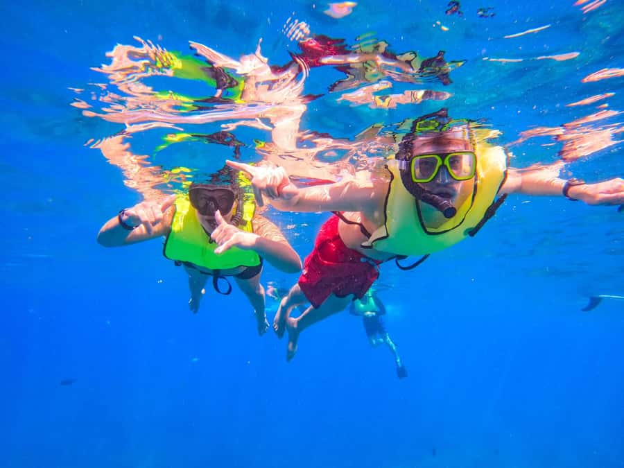 Oahu: Dolphin Watching & Turtle Snorkeling with Waterslide - The 3-Hour Flow: How the Timing Really Works