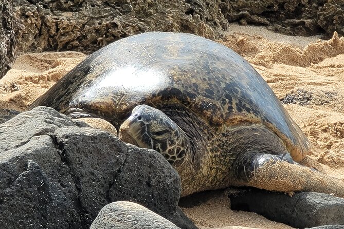 Oahu Fun Circle Island Tour With Pickup - Diamond Head State Monument: the fast taste of Oahu’s scenery