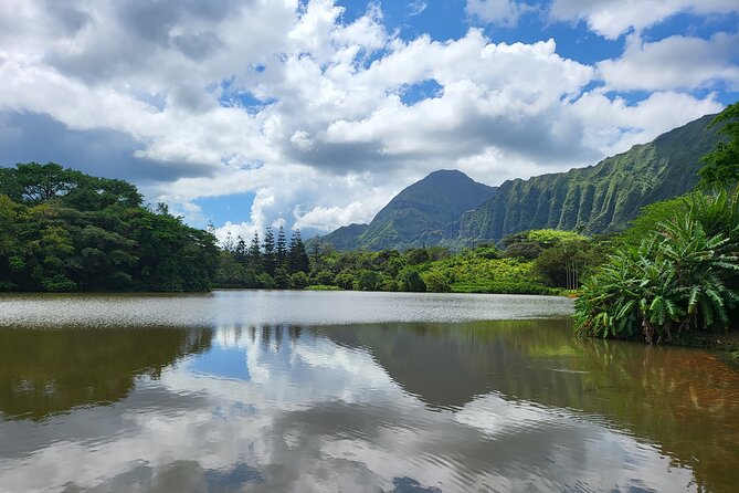 Oahu Fun Circle Island Tour With Pickup - The surf side of Oahu: Windiest roads, wettest feel