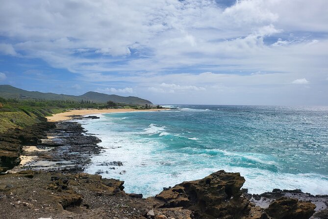 Oahu Fun Circle Island Tour With Pickup - Tropical Farms and macadamias: a snack stop that actually matters