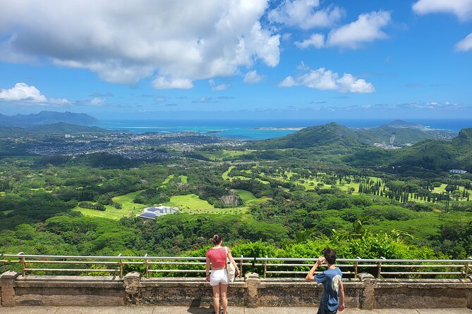 Oahu Fun Circle Island Tour With Pickup - Puaʻena Point Beach Park: turtles up close and a real rest window