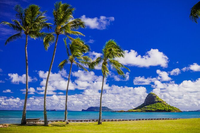 Oahu Grand Circle Island and Haleiwa Tour: 9-Hr Deluxe Experience - Coffee and pineapples: Tropical Farms and the Dole Plantation wrap-up