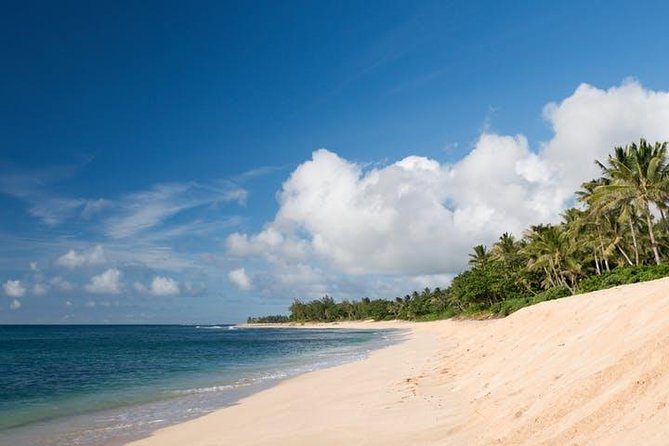Oahu Grand Circle Island: Discover the Heart & Soul of Hawaii - Kualoa Ranch Area and the Pineapple Finale at Dole Plantation