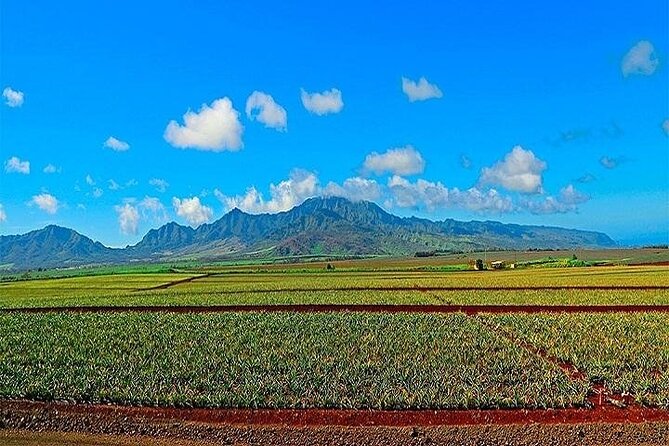 Oahu Grand Circle Island Experience Departing from Kauai - Koko Marina Center to Halona Blowhole: Snacks, Sea Spray, and Winter Possibilities