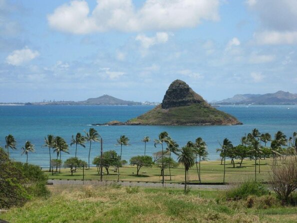Oahu Guided Circle Island Tour, Swim w/ Turtles, Dole, Blowhole - Key things I’d bet you’ll notice