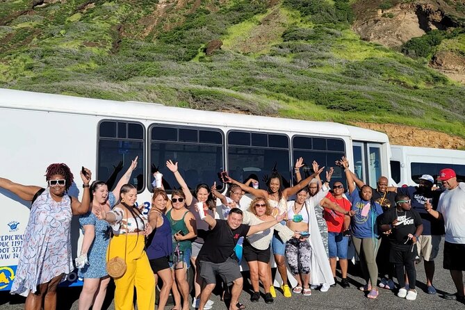 Oahu Guided Circle Island Tour, Swim w/ Turtles, Dole, Blowhole - Price and Logistics: what $118.79 really buys