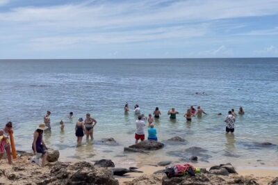 Oahu Guided Circle Island Tour, Swim w/ Turtles, Dole, Blowhole - Waikiki to Diamond Head: quick icon stops that set the tone