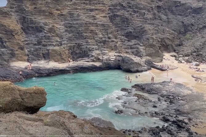 Oahu Guided Circle Island Tour, Swim w/ Turtles, Dole, Blowhole - Turtle Beach: swimming optional, sightings not guaranteed