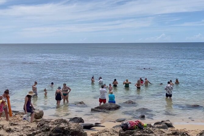 Oahu Guided Circle Island Tour, Swim w/ Turtles, Dole, Blowhole - Waikiki to Diamond Head: quick icon stops that set the tone