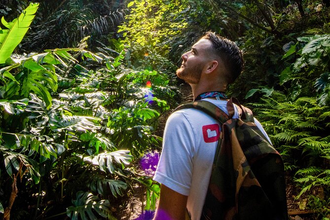 Oahu in a Day: Waterfall - Food Trucks - Lookouts - Small Crowds - A 10-hour Oahu loop built for photos and real time on your feet