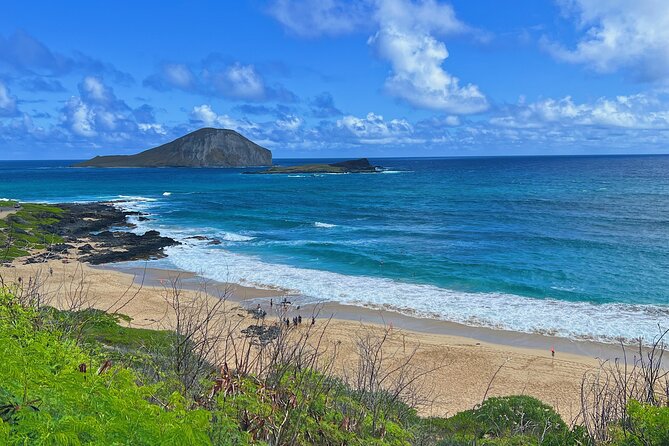 Oahu Island Experience feat the North Shore (Small Group Tour) - The Macadamia Nut Farm Outlet: Samples, Shopping, and a Real Sense of Local