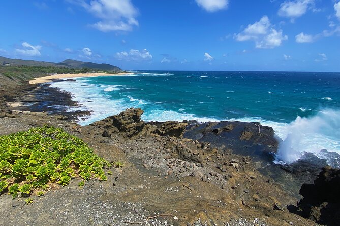 Oahu Island Experience feat the North Shore (Small Group Tour) - Price and Pace: Is $89.10 Good Value?