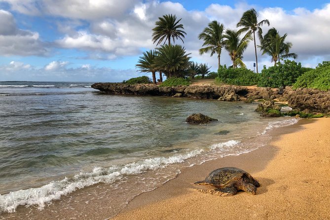 Oahu Island Photography Tour - Tripods Included: Why This Small Detail Makes a Big Difference