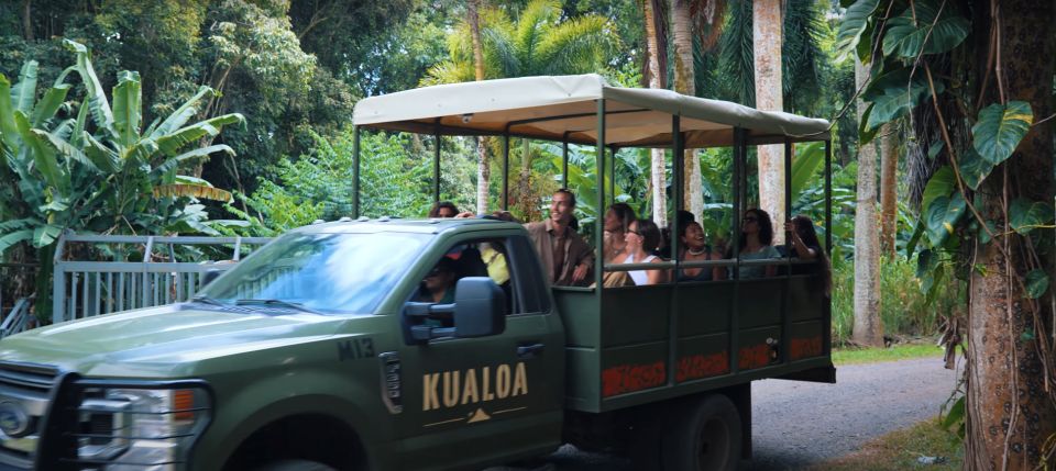 Oahu: Kualoa Jurassic Movie Set Adventure Tour - Panoramic Views of Kualoa Ranch: The Part That Feels Bigger Than the Franchise