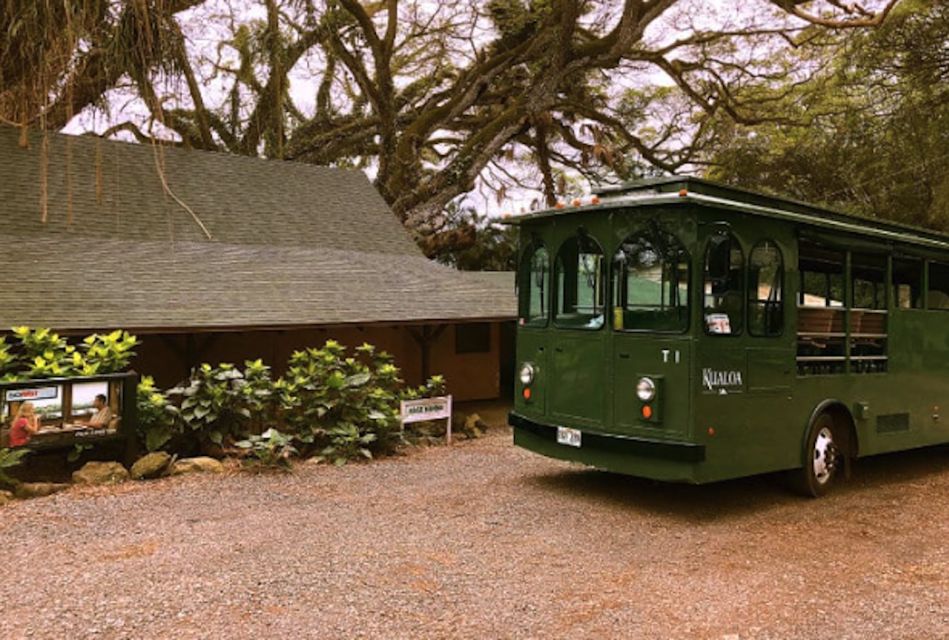 Oahu: Kualoa Movie Sites, Jungle, and Buffet Tour Package - Lunch at Kualoa Ranch House: Included and Actually Satisfying