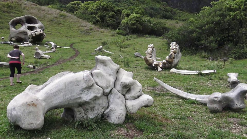 Oahu: Kualoa Movie Sites, Jungle, and Buffet Tour Package - Price and Value for $173: What You’re Really Buying