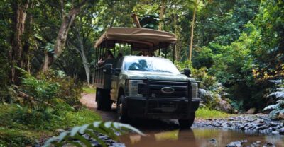 Oahu: Kualoa Open Air Jungle Expedition Tour - The filming stops: Jurassic World and Kong Skull Island scenery
