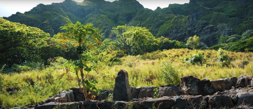 Oahu: Kualoa Open Air Jungle Expedition Tour - Comfort and safety: the tour is fun, but it’s not smooth