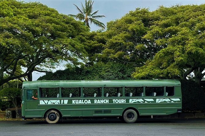 Oahu: Kualoa Ranch Movie Sites and Ranch Tour - The WWII Bunker Carved 300 Feet In: A Different Kind of Wow