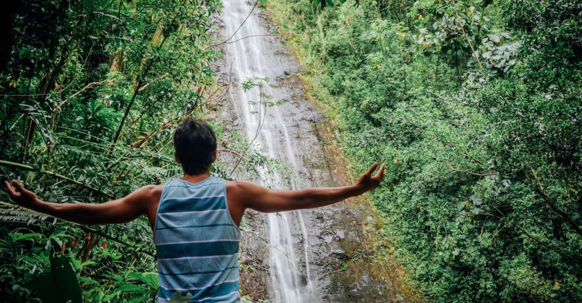 Oahu: Manoa Falls Waterfall Hike with Lunch and Transfers - Walking the Manoa Valley Trail: Jungle Sights, Bamboo, and Film-Scouted Scenes