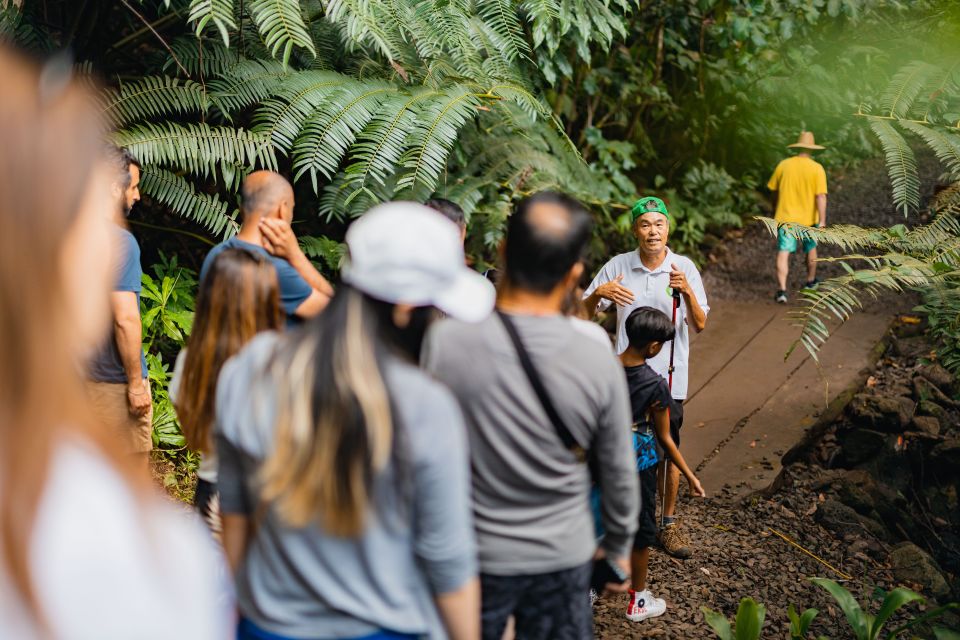 Oahu: Manoa Falls Waterfall Hike with Lunch and Transfers - 150-Foot Manoa Falls: The Payoff (and the Mud Reality)