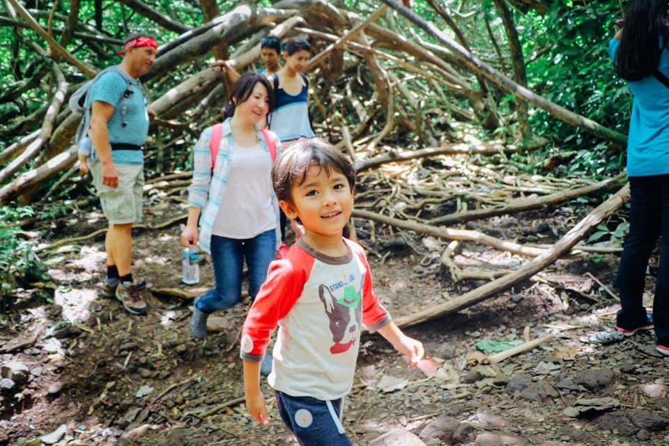 Oahu: Manoa Falls Waterfall Hike with Lunch and Transfers - Tantalus Lookout Lunch: Diamond Head Views and a Real Break