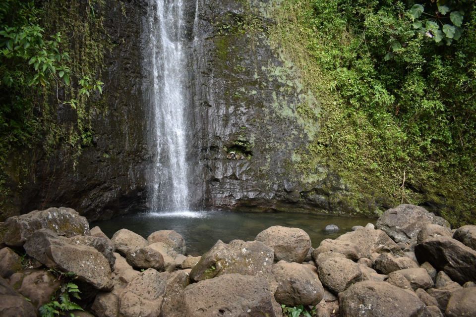 Oahu: Manoa Falls Waterfall Hike with Lunch and Transfers - Price and Value: Does $119 Make Sense?