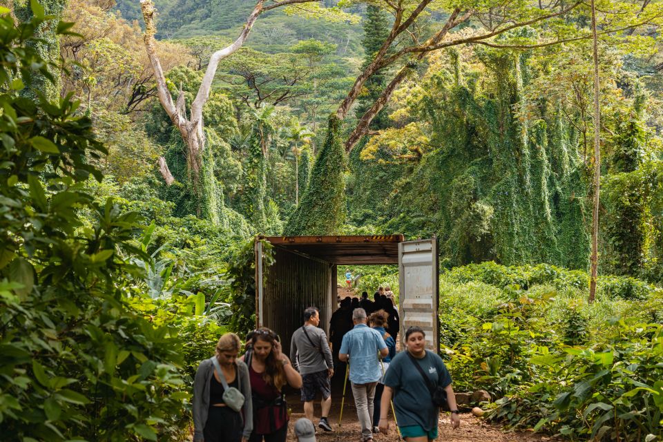 Oahu: Manoa Falls Waterfall Hike with Lunch and Transfers - From Waikiki Pickup to Manoa Trailhead: A Smooth Start