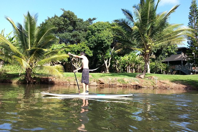 Oahu North Shore Experience: Activities, Waterfall & Free Time - Key points before you go