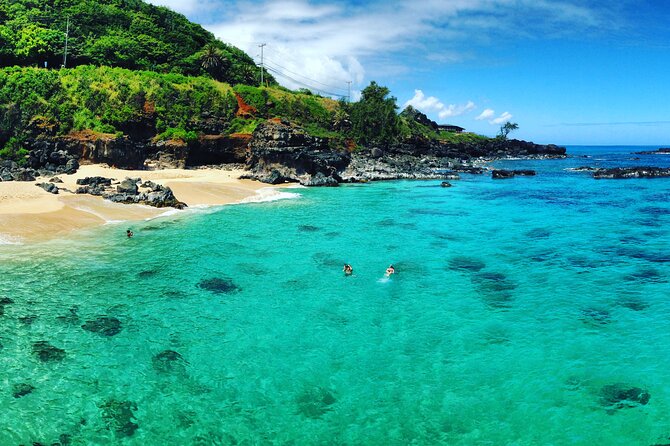 Oahu North Shore Experience: Activities, Waterfall & Free Time - Waimea Botanical Gardens and waterfall swimming: beautiful, but lines happen