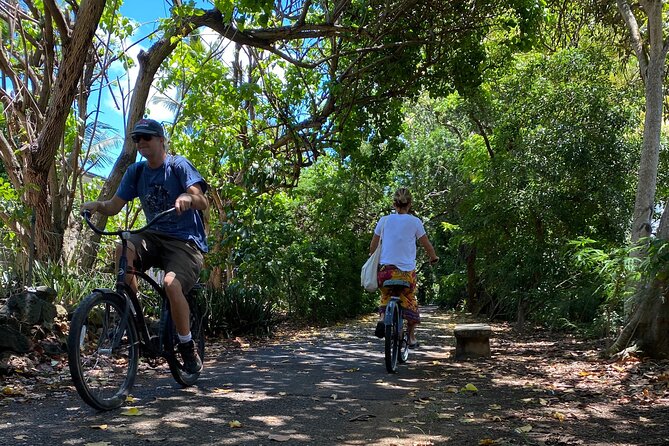 Oahu North Shore Experience: Activities, Waterfall & Free Time - Haleiwa Town for shave ice, art shops, and optional paddling