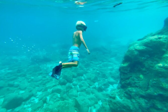Oahu North Shore Experience: Activities, Waterfall & Free Time - Price and value: what you’re really buying for $167.53