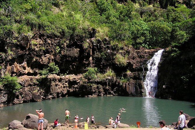 Oahu North Shore Experience: Activities, Waterfall & Free Time - Waimea Bay to tree tunnels: picking your best North Shore time