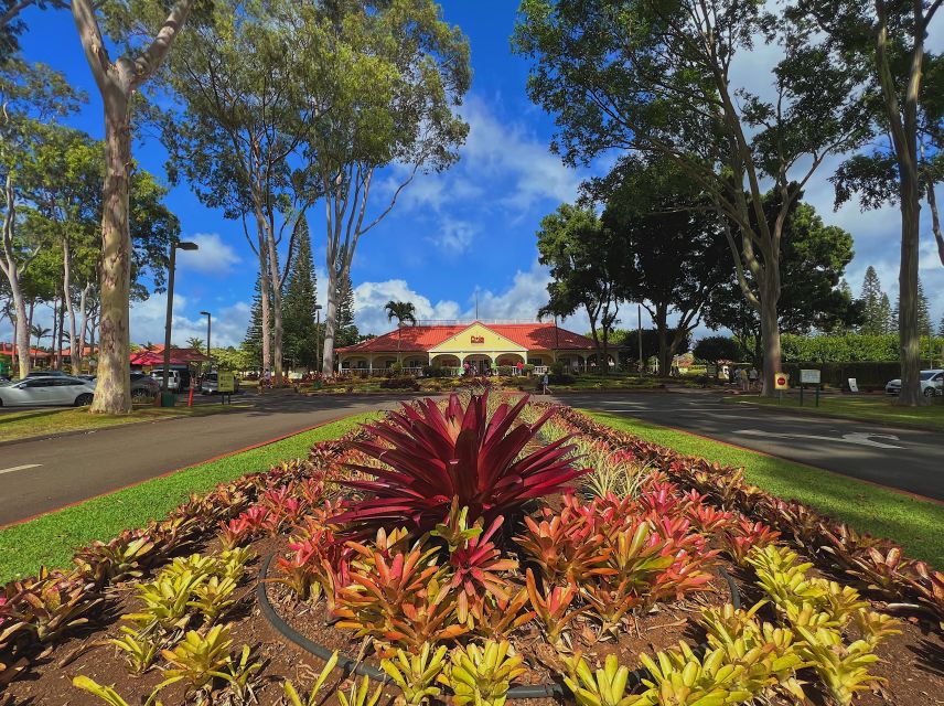 Oahu: North Shore Experience and Dole Plantation - Why This Oahu North Shore Route Works From Waikiki