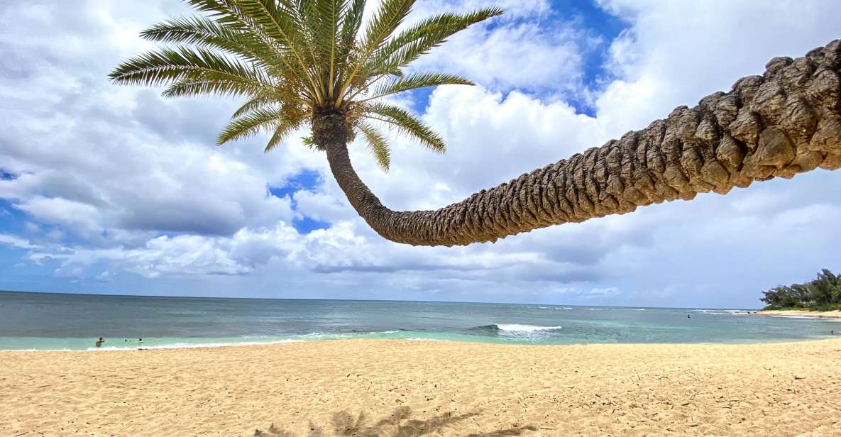 Oahu: North Shore Experience and Dole Plantation - Halona Blowhole and Cove: The Ocean Puts on a Show