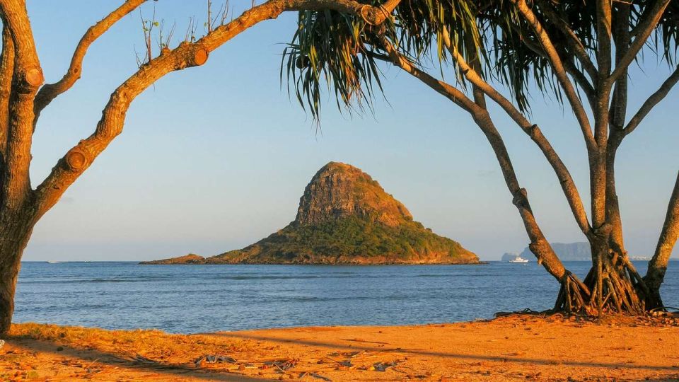 Oahu: Oahu Ultimate Grand Circle Island Tour - From Waimea Bay and Banzai Pipeline to Dole: How the North Shore Fits