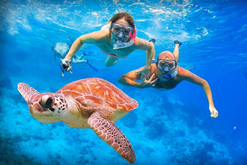 Oahu: Oahu Ultimate Grand Circle Island Tour - Price and Logistics: Is $84 Good Value for This Island-Loop Day?