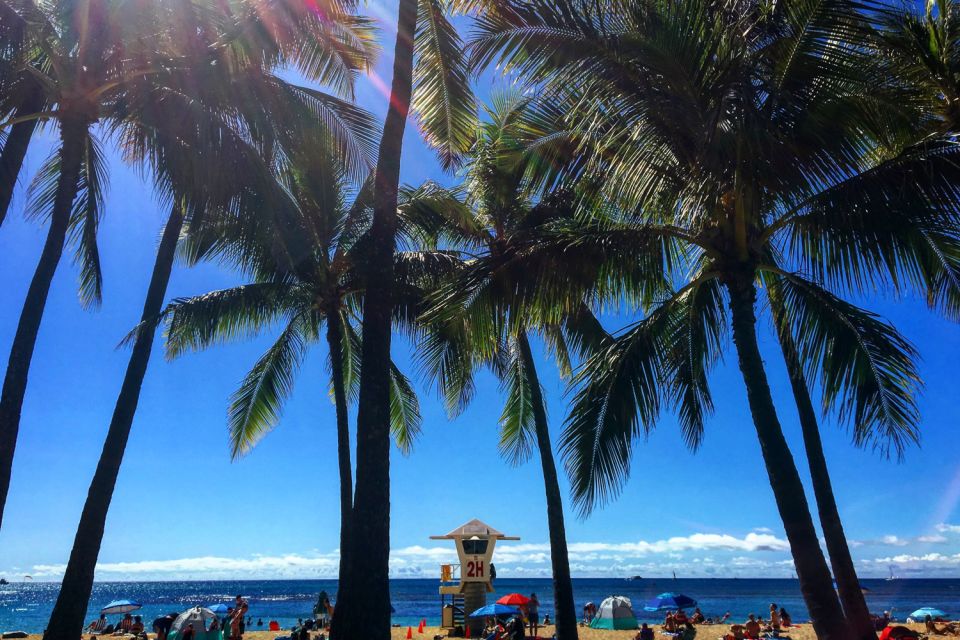 Oahu: Pearl Harbor and Honolulu City Tour - From museum to morning views: Honolulu’s historic drive in one shot