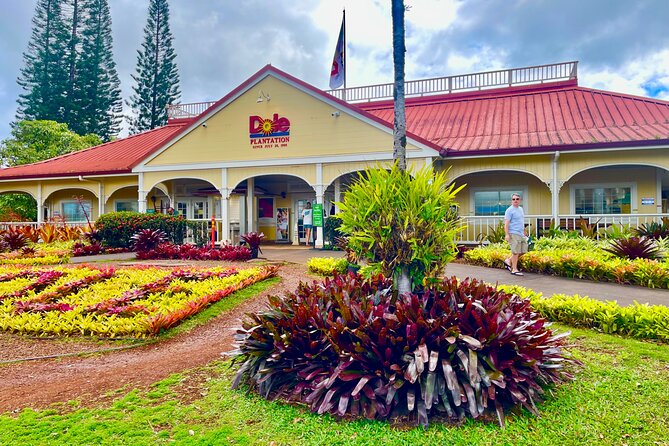 Oahu: Roundtrip Shuttle From Waikiki to Dole Plantation & Haleiwa - Dole Plantation at opening: gardens, maze, and the add-on train reality