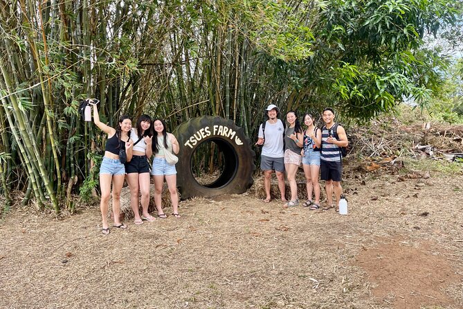 Oahu: Roundtrip Shuttle From Waikiki to Dole Plantation & Haleiwa - The practical value: price, time, and what’s included