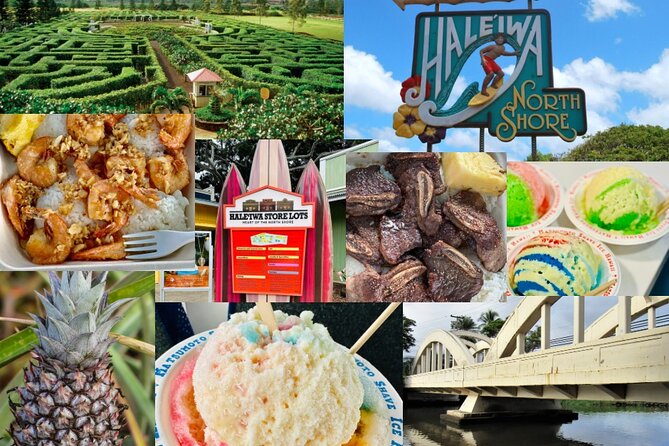 Oahu: Roundtrip Shuttle From Waikiki to Dole Plantation & Haleiwa - Who this shuttle is best for (and who should skip it)