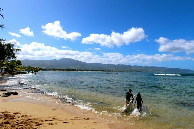 Oahu: Roundtrip Shuttle From Waikiki to Dole Plantation & Haleiwa - Green World Coffee Farms: optional, short, and easy to skip