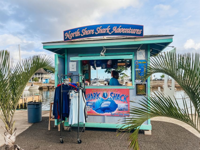 Oahu: Shark Cage Dive on the North Shore - The Scenic Cruise: Dolphins, Whales, and Big-Ocean Views