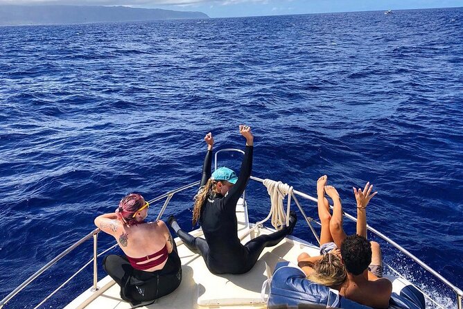 Oahu Shark Dive Educational Tour (No cage) - Puaʻena Point Beach Park: A Low-Key North Shore Break (Sea Turtle Odds Included)