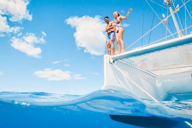 Oahu Small Group Snorkel Tour with Yacht Cruise - West Oahu wildlife cruise: what you should watch for from the horizon