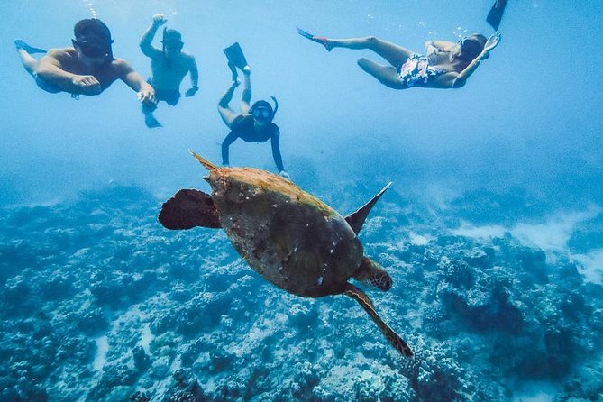 Oahu Small Group Snorkel Tour with Yacht Cruise - Drinks onboard: what an open bar adds (and what to keep in mind)