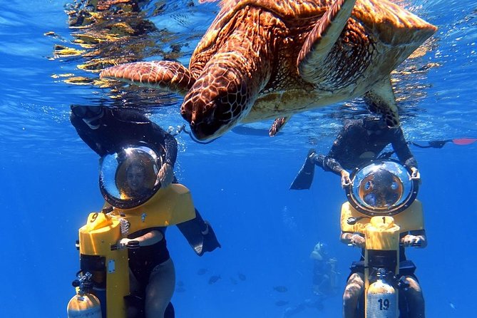 Oahu: Submarine Scooter Adventure - Key points at a glance