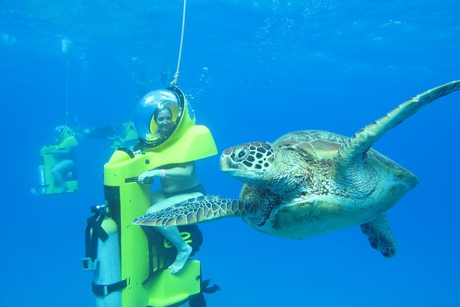 Oahu: Submarine Scooter Adventure - What you’ll see underwater: green sea turtles, tropical fish, and coral