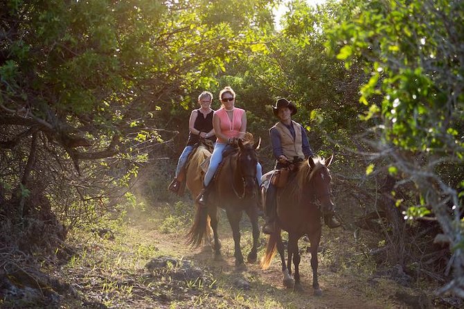 Oahu Sunset Horseback Ride - Quick take: What makes this Oahu sunset ride worth your time